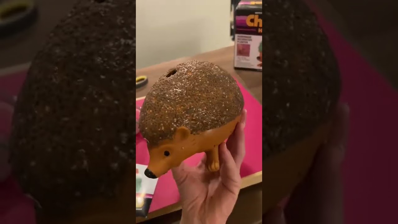 My first chia pet!! YouTube