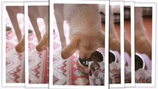 Reflex Reklam Yıldızı Video Yarışması - Umutcan Cinek