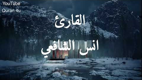 القارئ أنس الشافعي تلاوه خاشعة