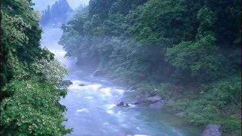 الفاتحة بكاء مؤثر   القارئ راشد الشمري