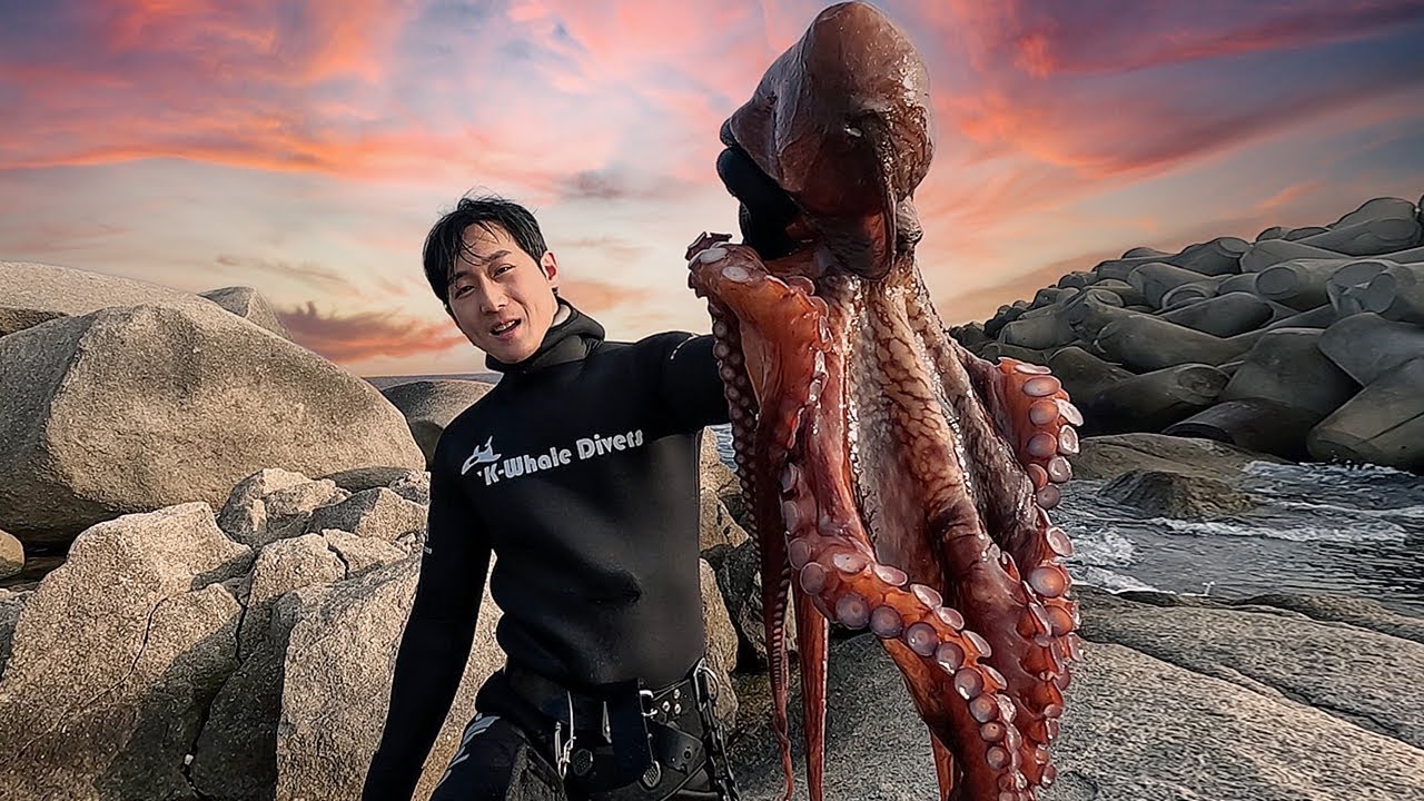 강원도의 명물 피문어와 돌삼치 사냥.... 그리고 탄생한 쉐프의 최고급 요리!!