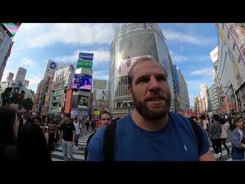 Godzilla in Tokyo / GoPro