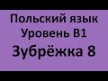 Зубрёжка Польский язык Уровень В1 Урок 8 Польский разговорный Польские диалоги и тексты с переводом