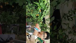 #vlog #love #ganvkilifestyle #newvlogger #devotionalshorts