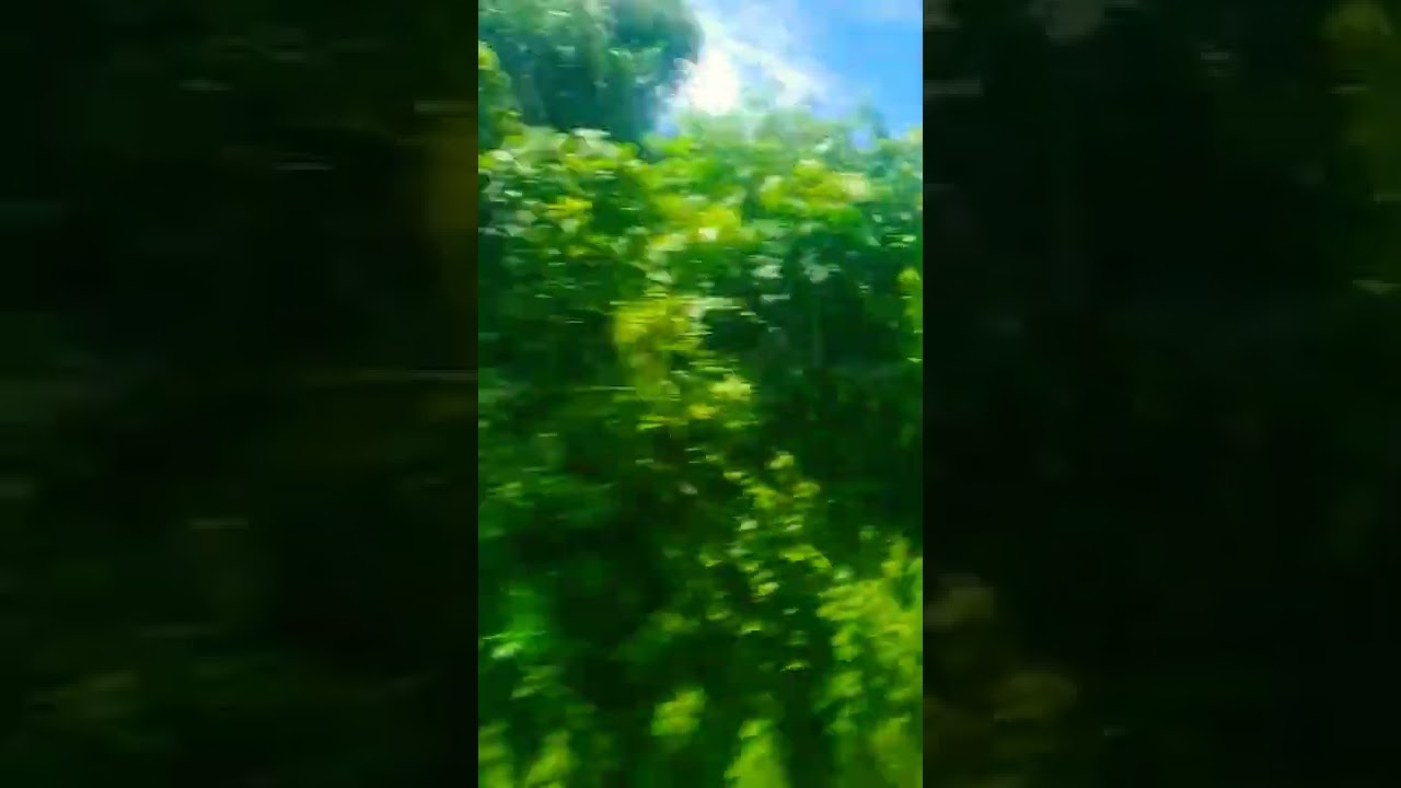 Eid Day 2 Journey By Train 