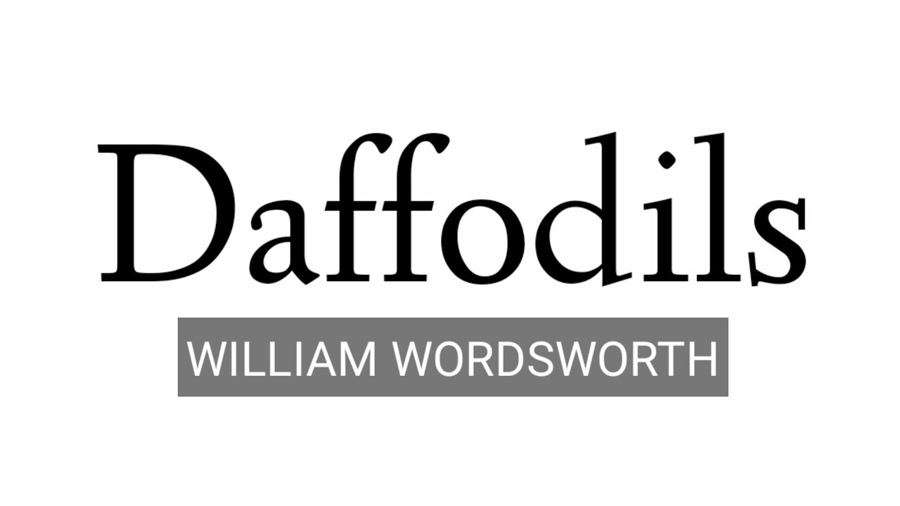 ICSE Daffodils by William wordsworth #literature #romanticism tgt pgt net nta I wondered lonely