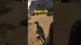 Beipi Life Is Hard