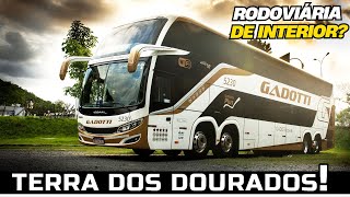 MOVIMENTO DE ÔNIBUS EM BLUMENAU!! A RODOVIÁRIA É DOMINADA POR UMA EMPRESA DE LUXO