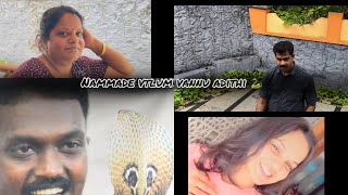Anghne athum aayi 🐍 🏃♀️#snake #kerala #contentcreator #minivlog