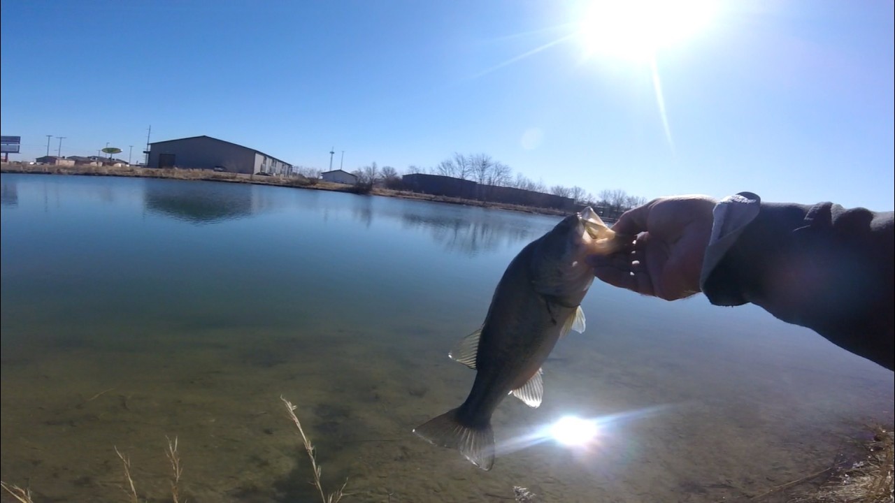 THE UNEDITED TRUTH OF BASS FISHING. YOU WON'T BELIEVE IT! (PART 6 OF 7) 🤯🎣s