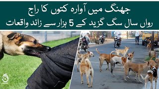More than 5 thousand incidents of Dog bite this year | Aaj News