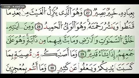 سورة الشورى مكتوبة للشيخ ياسين الجزائري برواية ورش عن نافع