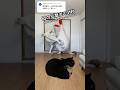 [ノリノリ猫] ちょうどいい音がすると思ったら母でした #3D猫 #猫ミーム #MaxwelltheCat #meme #きぐるみ母さん #音ゲー #rythmgame #chickenmom