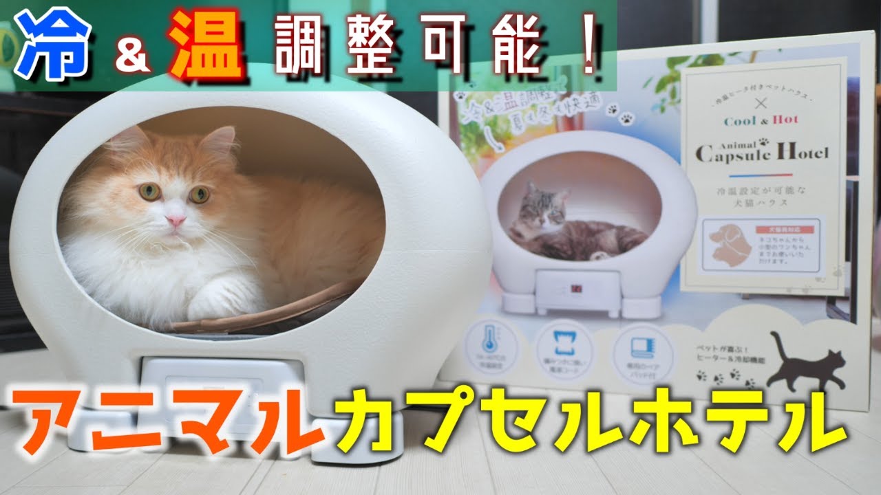 冷温設定が可能犬猫最新ペットハウス！「アニマルカプセルホテル 