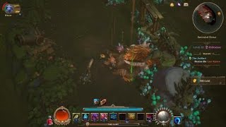 Torchlight III - Creating a Multiplayer Character