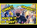 DID CAPACITY GO UP AT DISNEYLAND? | CROWDS & LINES | YELLOW TIER