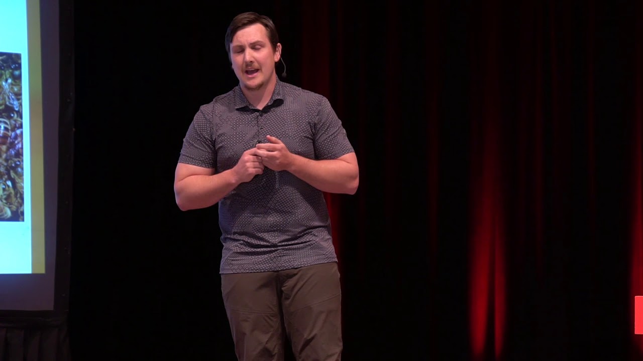 What can Bee Done? | Parker Stewart | TEDxSouthportElementarySchool