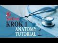 Krok 1 base  anatomy  tutorial 1