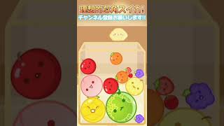 毎日角スイカ日記【155日目】＃スイカゲーム＃shorts