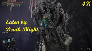 Eaten by Death blight Giant. Spit me out then we both kill each other. Elden Ring