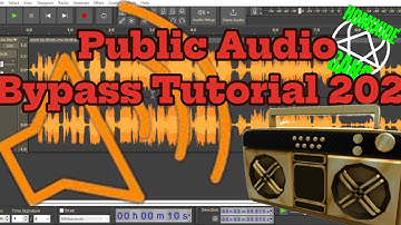 Public Audio Bypass Method 2025