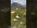 Andermatt, Switzerland 4K. Beautiful Swiss village. View from Gütsch.