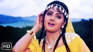 तेरी बंजारन रास्ता देखे | Teri Banjaran Rasta Dekhe | Sridevi | Alka Yagnik | Banjaran (1991)