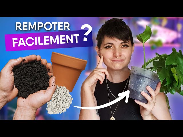 Rempoter ses plantes d'intérieur : mode d'emploi - Dehors - URBANIA