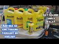 Purong Coolant O May Halong Distilled Water Ano Ba Ang Tama Purong Coolant O May Halong Distilled Water Ano Ba Ang Tama