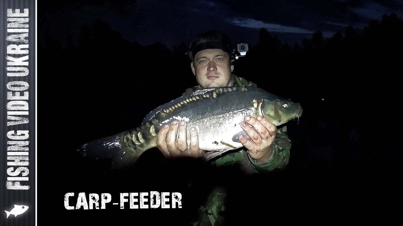 Нічні монстри на фідер