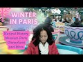 Walking in paris in winter