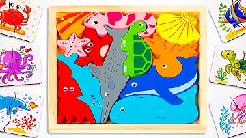 Learn Sea Animal Names with Activity Puzzle | Preschool Learning Video for Kids & Toddlers