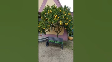 Thumbnail of I am Happy(나는 행복합니다)-윤항기
