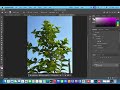 Adobe Photoshop - Colour replacement tool revision