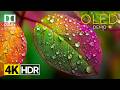 The Most Spectacular OLED Demo In 4k Dolby Vision - HDR Video 120fps