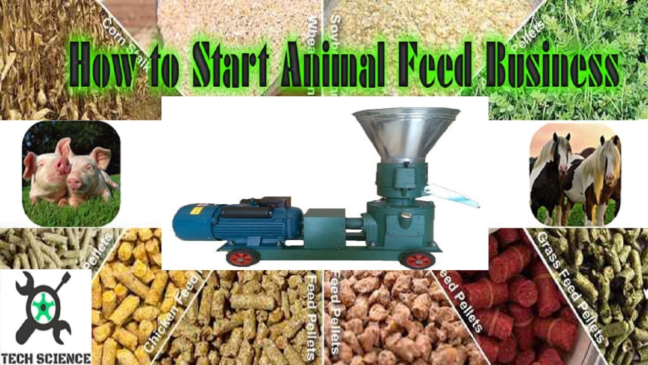 animal feeds production business plan