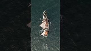 Sails up on Bessie Ellen
Any excuse to kill the engine and sail properly - that’s what it’s all about. The kind of action that keeps us all coming back for another hands on sailing holiday on historic tall ship Bessie Ellen.
Well, that and Nikki’s cooking 😋
💛 SUPPORT OUR WORK:
➤ BECOME OUR PATRON
https://www.patreon.com/goingthewholehogg
➤ BECOME A BESSIE ELLEN PATRON
https://www.patreon.com/bessieellen
➤ LEAVE KIM AND DEL A TIP
https://www.paypal.com/donate/?hosted_button_id=CX835JY8KEMY4
🧺 BUY BRAND NEW BESSIE ELLEN MERCHANDISE & 2026 CALENDAR (all proceeds support BE)
https://bessie-ellen.com/shop/
Kim & Del Hogg
www.goingthewholehogg.com
Instagram + Facebook | @goingthewholehogg
⛵ MORE BESSIE ELLEN FILMS
https://www.youtube.com/watch?v=mElJHueAUmM&list=PLI-qhu3E-yDANrzuZUsWftLny9VJgg7Bq
💻 READ ABOUT OUR EXPERIENCE ON BESSIE ELLEN
https://www.goingthewholehogg.com/sailing-hebrides-tall-ship-bessie-ellen
⛵ BOOK A SAILING HOLIDAY ON BESSIE ELLEN
https://bessie-ellen.com/
If you enjoyed this film please do support us by giving us a LIKE, dropping us a COMMENT and hitting that SUBSCRIBE button for more Bessie Ellen related films! This really helps us to grow our channel and encourages YouTube to show our videos to more people with similar interests.
🎥 OUR CAMERA KIT USED IN THIS FILM
Camera | https://amzn.to/3r58GM5
Main Lens | https://amzn.to/2IxM39v
Wide Lens | https://amzn.to/3lFoqgY
Telephoto Lens | https://amzn.to/2Ha274
Drone | https://amzn.to/3GtN1R5
White Balance Checker | https://amzn.to/3yIaI5E
Travel Tripod | https://bit.ly/36PLgfM
Mics | https://amzn.to/2mJOR8o and https://amzn.to/3LcL7Yy
Voiceover Mic | https://amzn.to/44561Rv
Camera Clip | https://bit.ly/3ntWEEH
Camera Bag | https://bit.ly/WandrdPrvke
Editing Software | https://bit.ly/4gazkrK
📷 OUR COMPLETE PHOTOGRAPHY & VIDEOGRAPHY GEAR
https://www.goingthewholehogg.com/travel-photography-gear/
🎵All of the music in this film is from Epidemic Sound
➤ Use our referral link for a free trial
https://www.epidemicsound.com/referral/8rqzgb
📰 Subscribe to our monthly-ish email round-up of whats new, whats coming up & the inside scoop on everything Going the Whole Hogg
https://www.goingthewholehogg.com/#signup
➡️Follow our adventures and Go The Whole Hogg with us
Website | https://www.goingthewholehogg.com/
Facebook | https://www.facebook.com/GoingTheWholeHogg
Instagram | https://www.instagram.com/GoingTheWholeHogg/
Pinterest | https://www.pinterest.com/goingthewholehogg/
🙏 Some of these links are affiliate links which means that if you purchase a product or service via these links, we may earn a small commission at no extra cost to you. As an Amazon Associate, I earn from qualifying purchases. We greatly appreciate your support!
#BessieEllen #sailing #scotland Sails up on Bessie Ellen