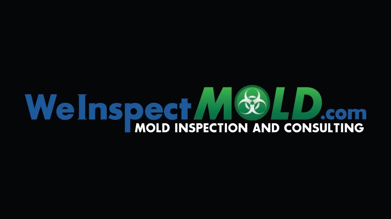 Florida Mold Inspection and Testing Expert | Jeff Jones