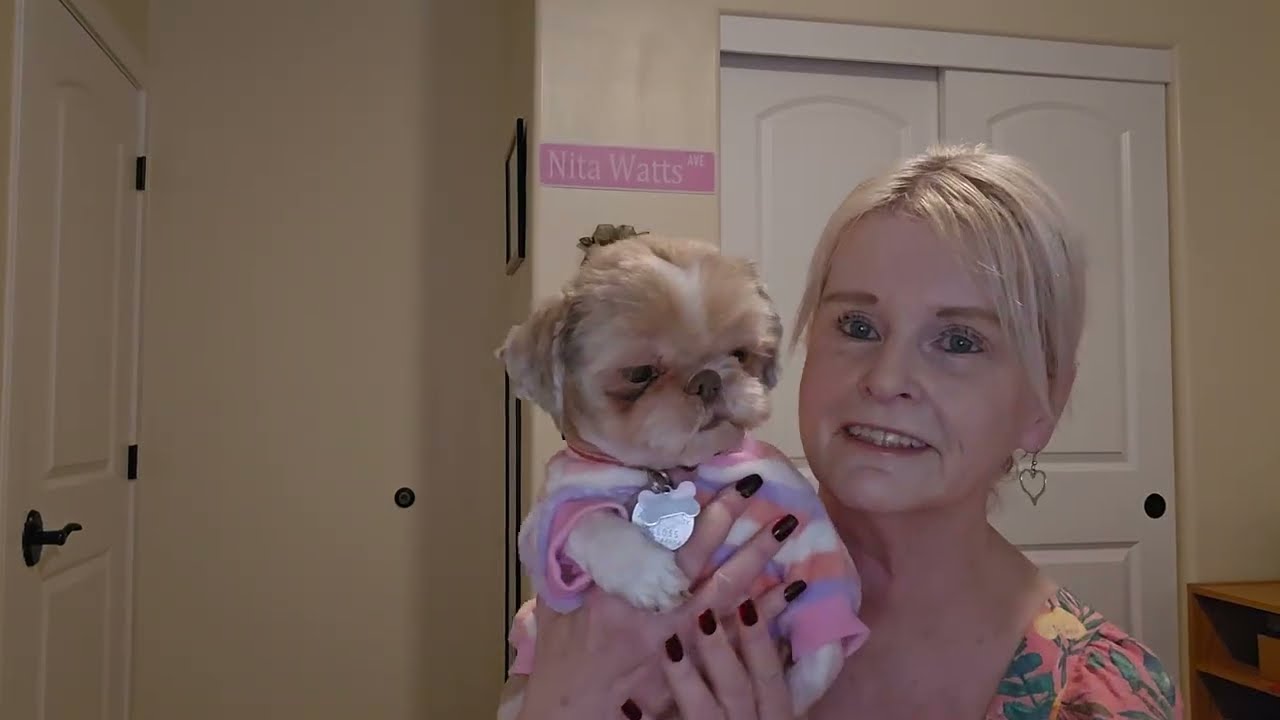 Покупки в Dollar Tree