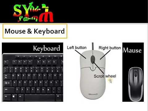 መሰረታዊ  የኮምፒውተር  ክህሎቶች ክፍል 1 Basic Computer Skills - Part 1