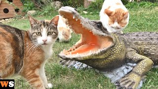 Cats vs Lifelike Crocodile (with a Surprise Ending)