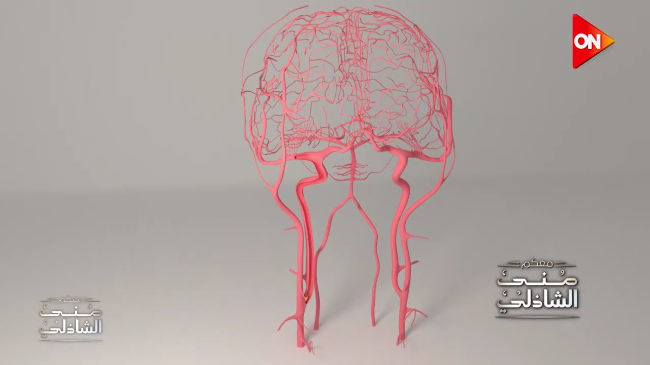 لأول مرة - اطباء المنصورة ينجحون في عملية غلق تمدد شرياني لمريض