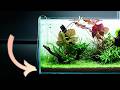 This Aquarium Soil Is Almost TOO Powerful! - We tried the new ADA Amazonia Pro
