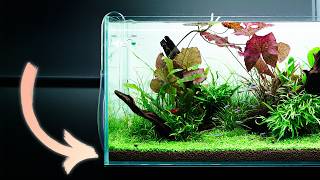 This Aquarium Soil Is Almost TOO Powerful! - We tried the new ADA Amazonia Pro