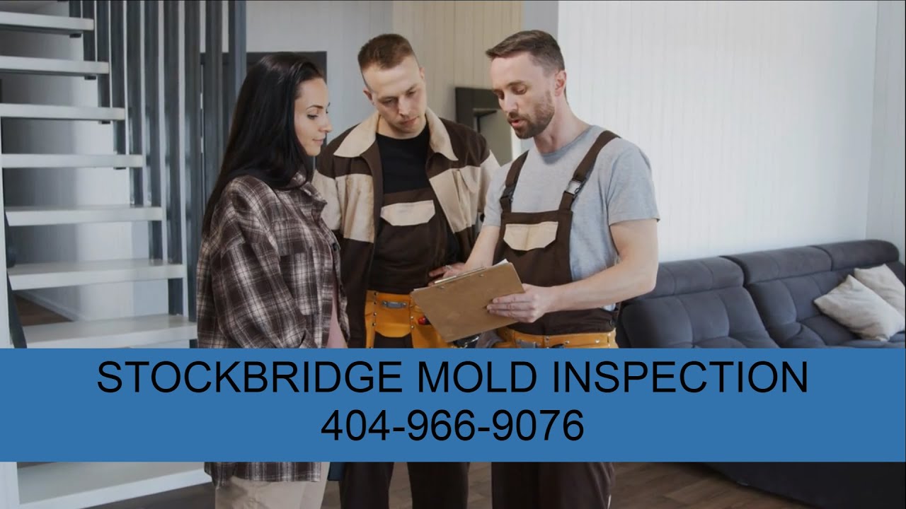Stockbridge Mold Inspection
