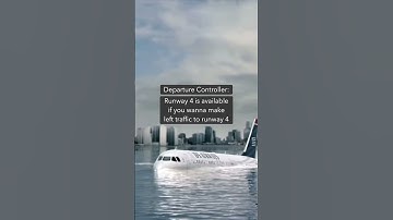 A Plane Carrying 155 People Lands on a River | US Airways Flight 1549 (The Miracle On The Hudson)