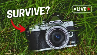 What Can Micro Four Thirds Do To Survive? Let's Talk! screenshot 5