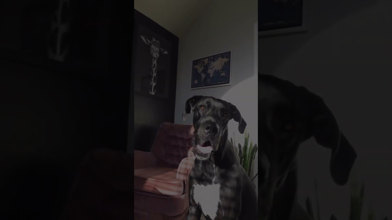 A personalized world map! 🌍