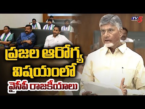 CM Chandrababu Fires On YSRCP | AP Assembly  | AP Medical Colleges | Tv5 - TV5NEWS