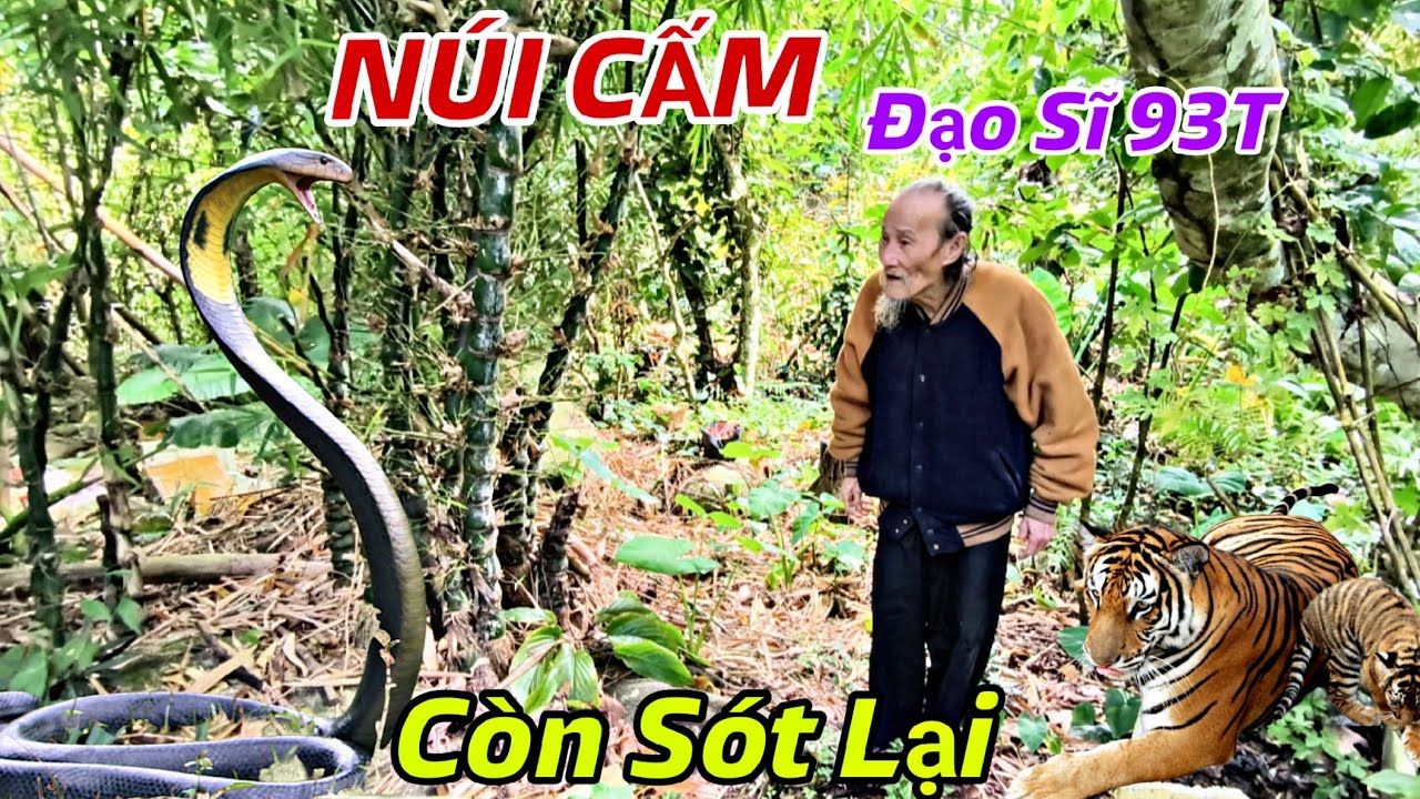 P3.Núi Cấm Xuất Hiện Ông Lão 93 Tuổi Kể Về Loài Rắn Hổ Mây To Lớn Từng Ngự Trị Trên Vùng Thất Sơn 